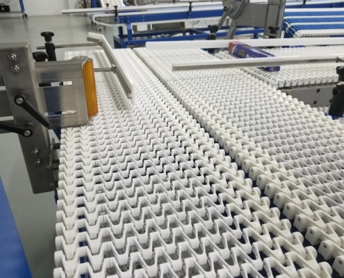 Side By Side Conveyor (1)