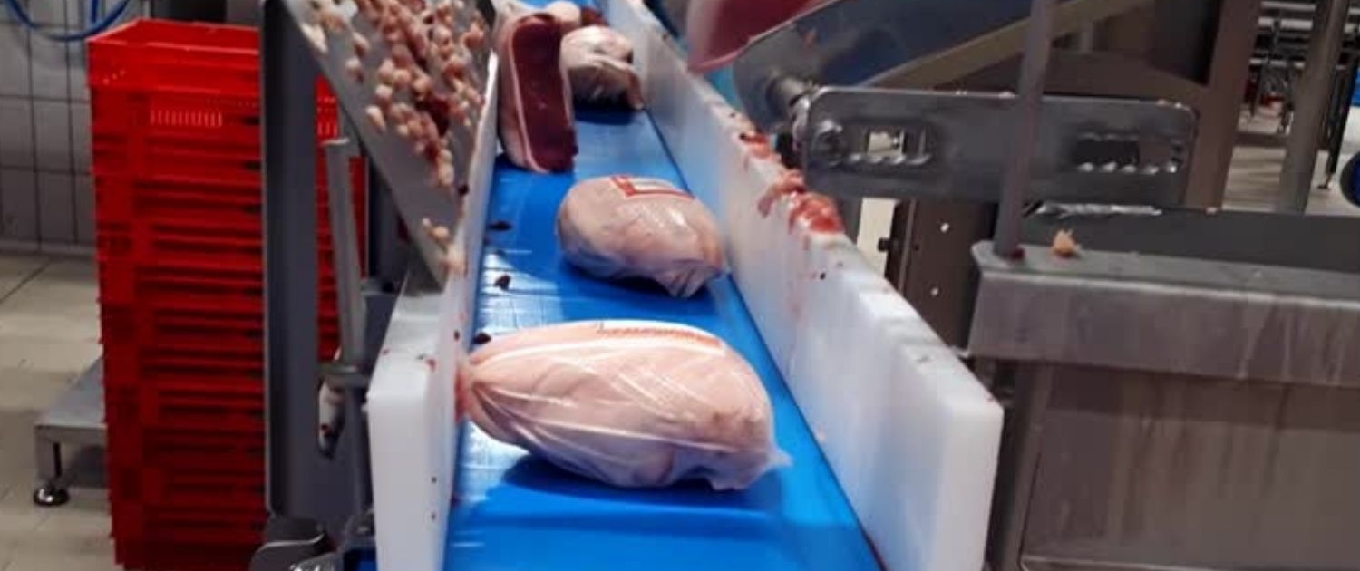 VIDEOFONDOTRAYECTA (1)