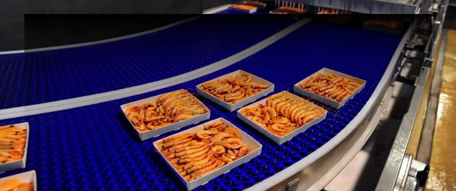 VIDEOFONDOTRAYECTA (3)